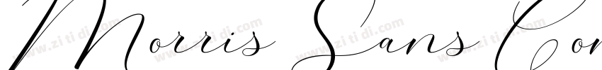 Morris Sans Com Heav字体转换